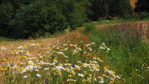Ostatní akce Na Přehájku
