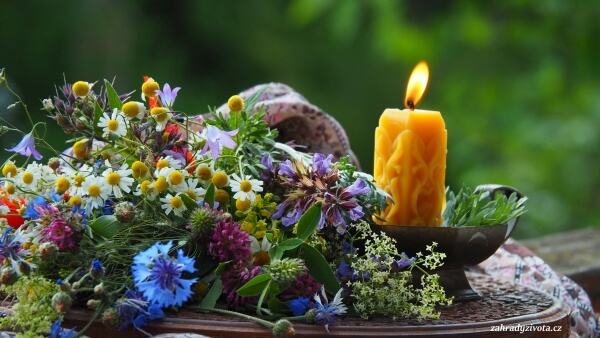 Svatojánské bylinky